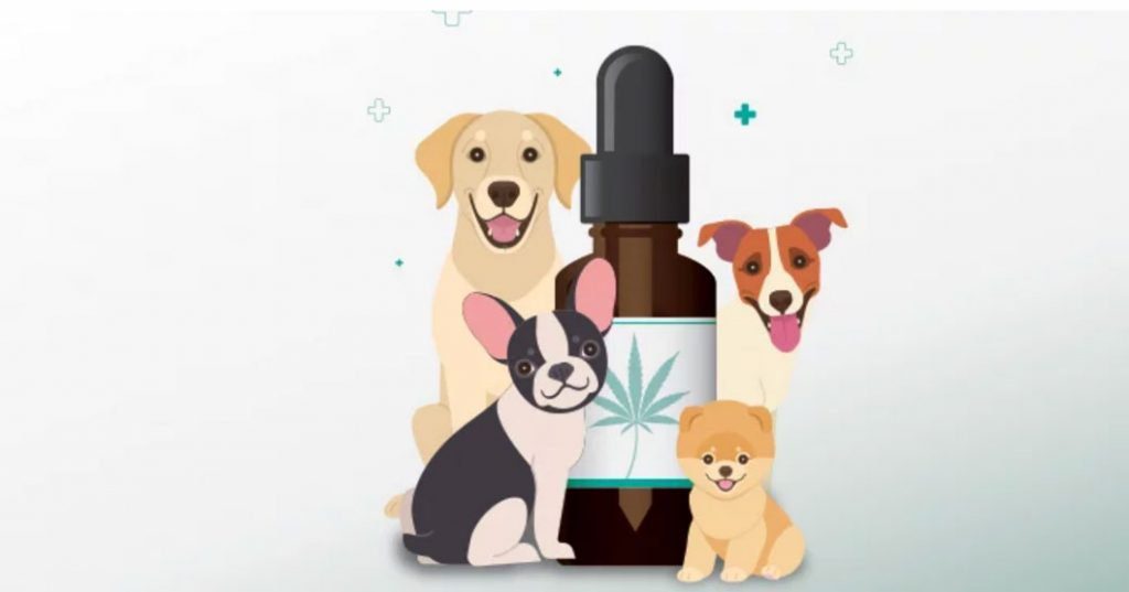 An illustration of four happy dogs with a CBD oil dropper bottle.